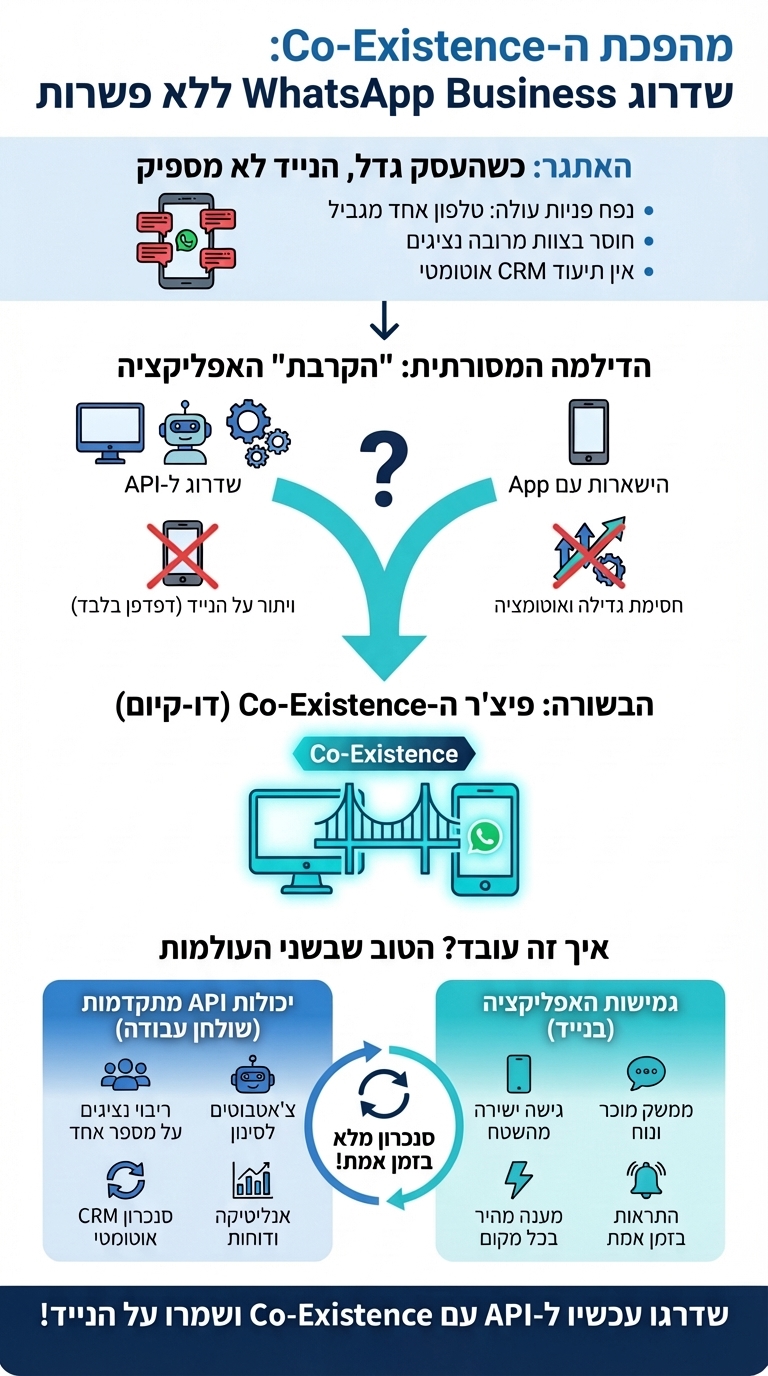 אינפוגרפיקה