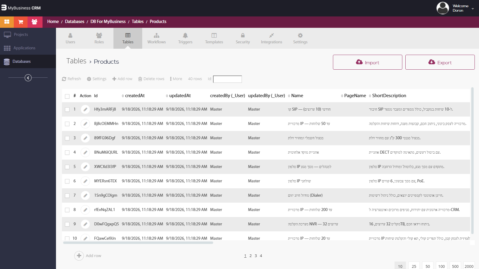 Development environment - the finished table: the data view of the Products table with its rows and field columns