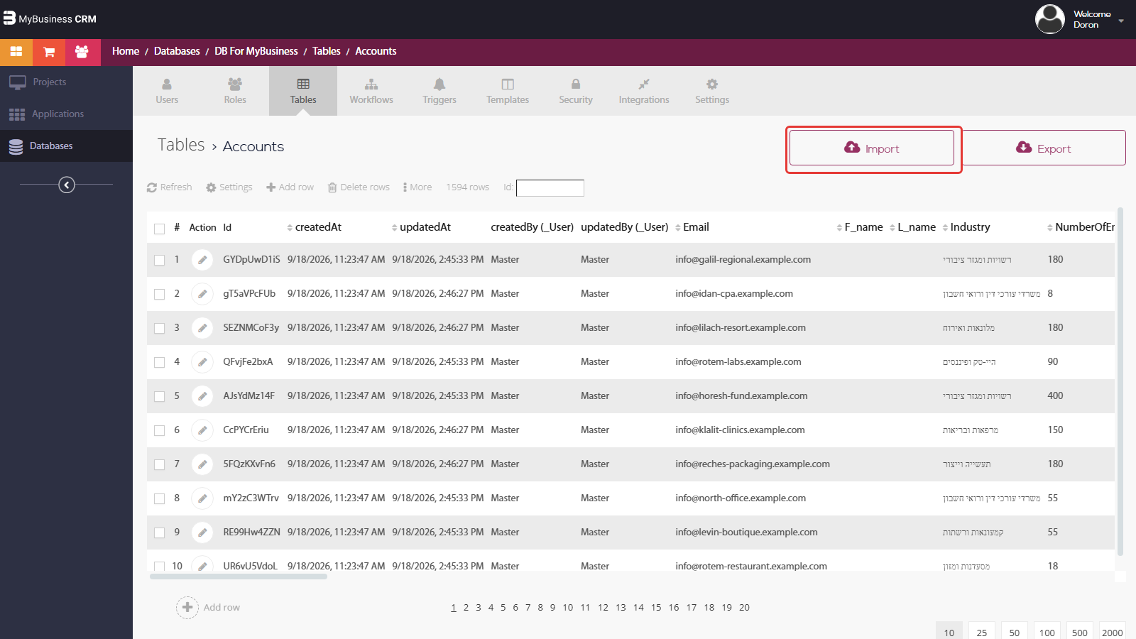 פאנל הניהול — טבלת Accounts עם כפתורי Import ו-Export בפינה הימנית העליונה (Import מסומן)
