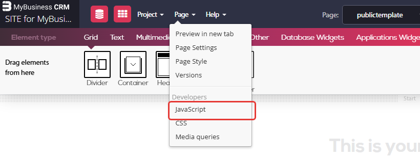 Website builder - the Page menu open, with JavaScript under Developers marked