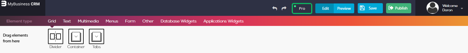 סרגל הכלים של העורך במצב PRO: Grid, Text, Multimedia, Menus, Form, Other, Database Widgets ו-Applications Widgets