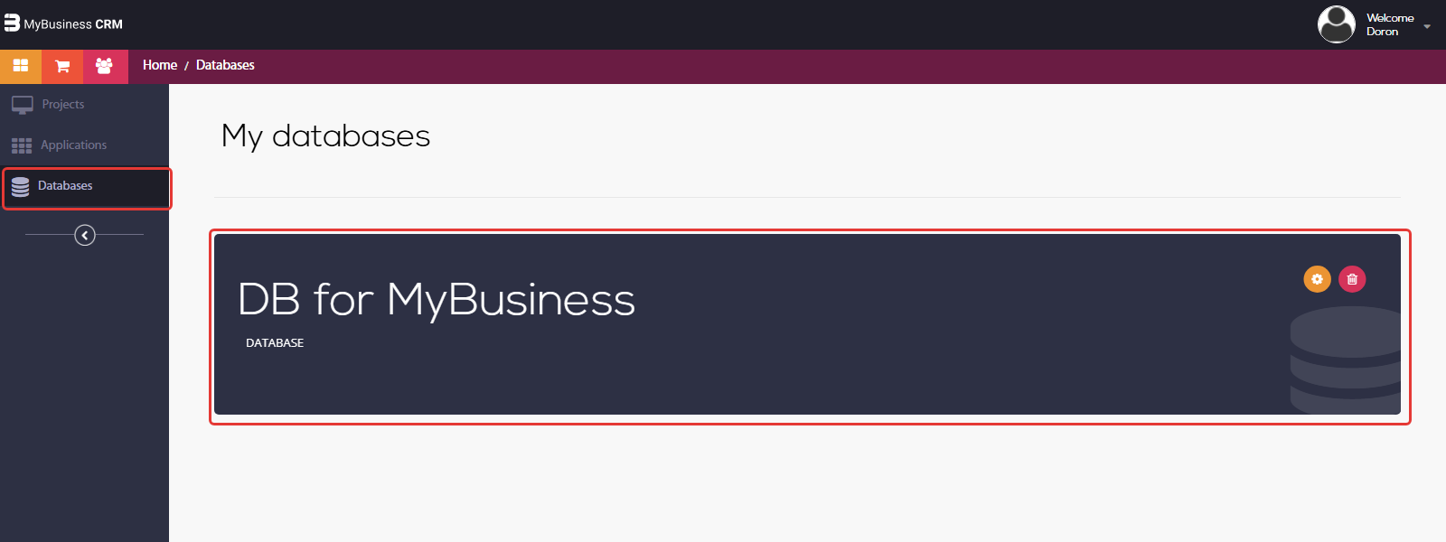 סביבת הפיתוח — מסך Databases עם הכרטיס DB for MyBusiness, התפריט Databases והכרטיס מסומנים