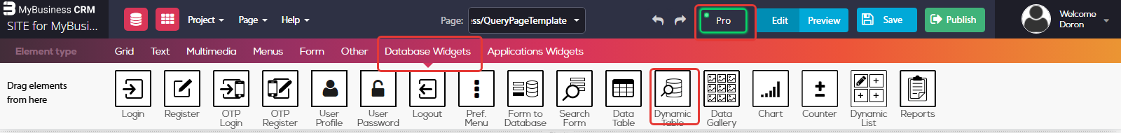 סרגל העורך: מצב Pro, תפריט Database Widgets והרכיב Dynamic Table מסומנים